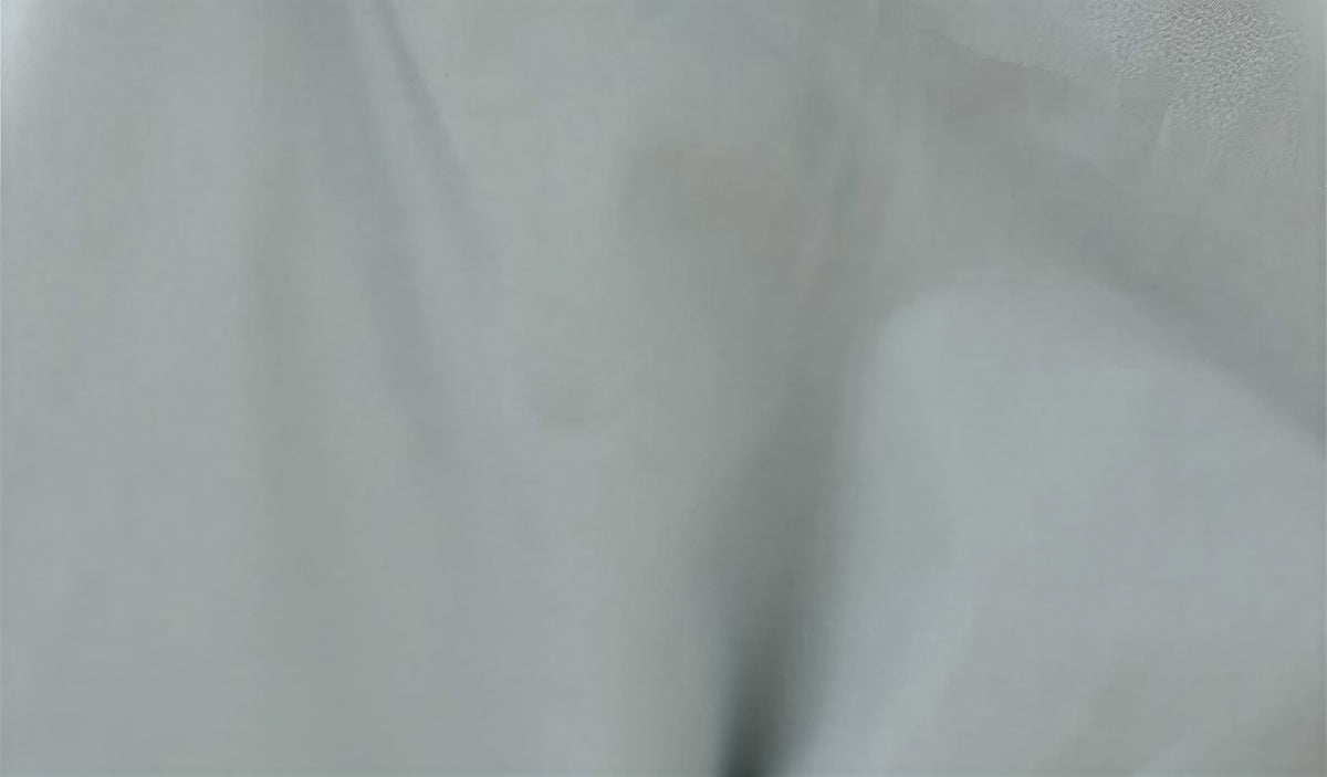カットワーク入りバルーンスリーブ スタンドカラーシャツ
