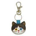 猫05