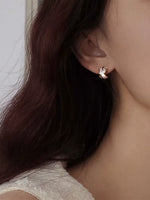 クロスシェル ジルコンピアス